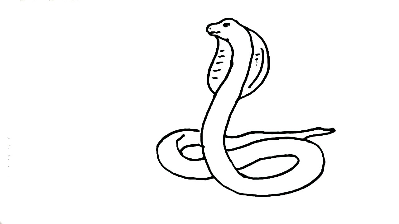 1280x720 How To Draw Snake King Cobra In Easy Steps For Children