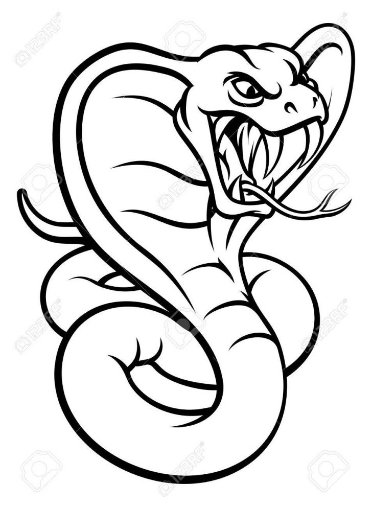 728x992 A Cobra Pictures Snake Draw Cord Drawings Free Bias Carmi