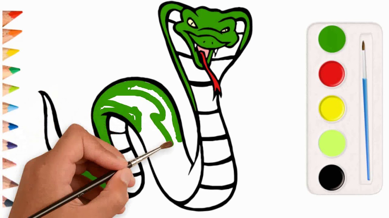 1280x720 King Cobra Coloring Pages Snake Drawing For Children How To Learn