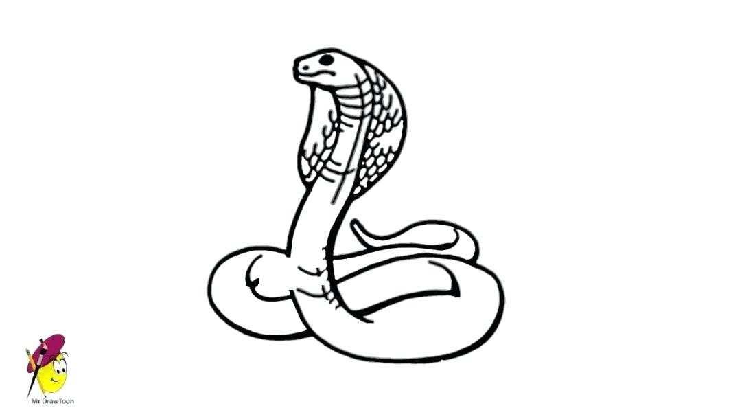Cobra Snake Drawing | Free download on ClipArtMag