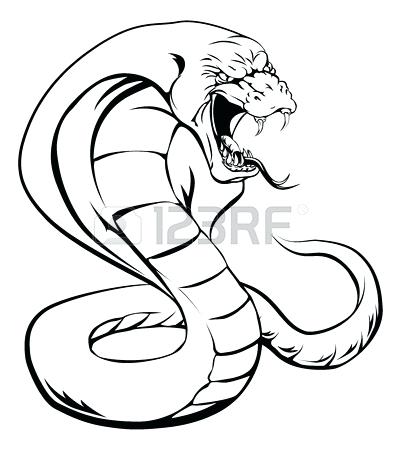 401x450 A Cobra Snake Cobra Snake Head Drawing Judebarker Club