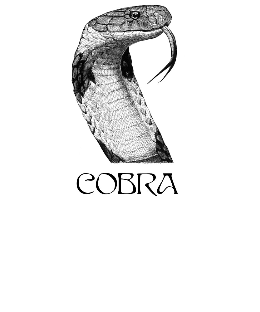 833x1000 Cobra