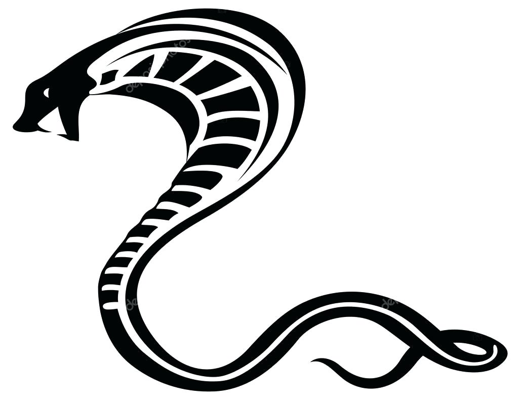 Cobra Snake Head Drawing | Free download on ClipArtMag