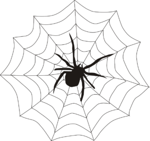 300x283 Spider Web