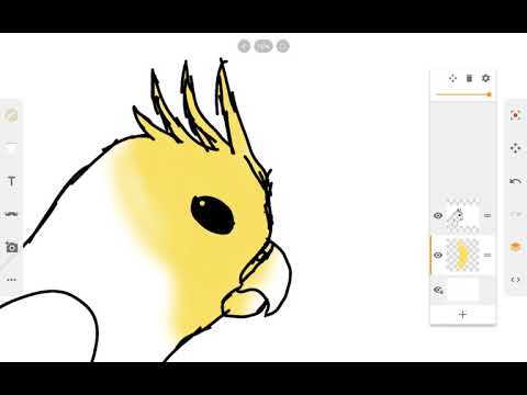 480x360 Cockatiel Drawing Tutorial!