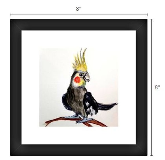 570x555 Cockatiel Painting Cockatiel Art Bird Print Cockatiel Etsy