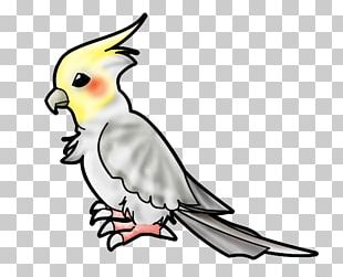 310x251 Parrot Bird Drawing Png, Clipart, Animal, Art, Beak, Bird Cage