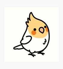 210x230 Cockatiel Drawing Art Prints Redbubble