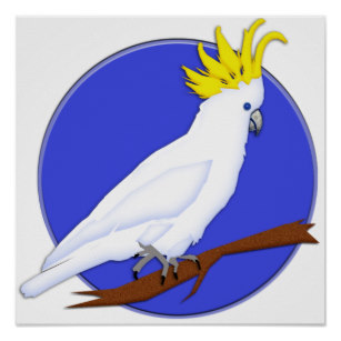 307x307 Cockatoo Drawing Art Wall Zazzle