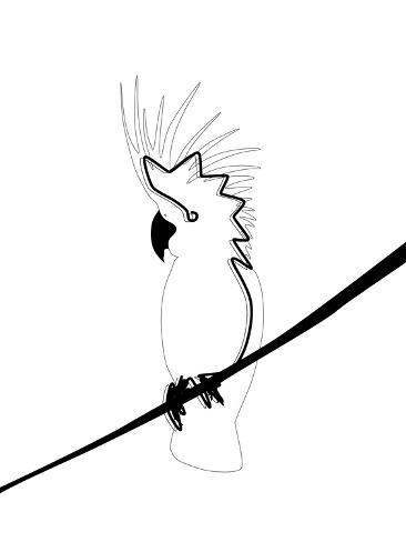 366x488 Cockatoo In Line Art