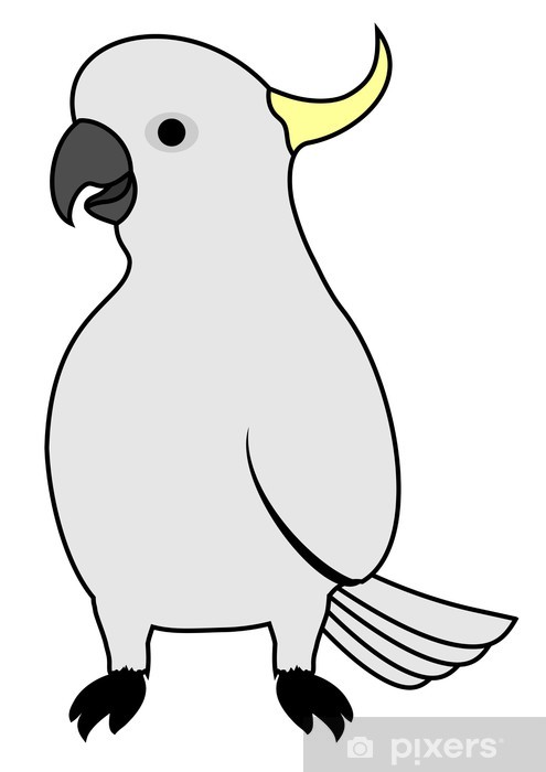 495x700 Cockatoo Draw Wall Mural We Live To Change