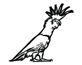 340x270 Cockatoo Etsy