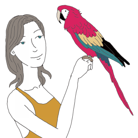 450x450 collection of free parakeet drawing cockatoo download on ui ex