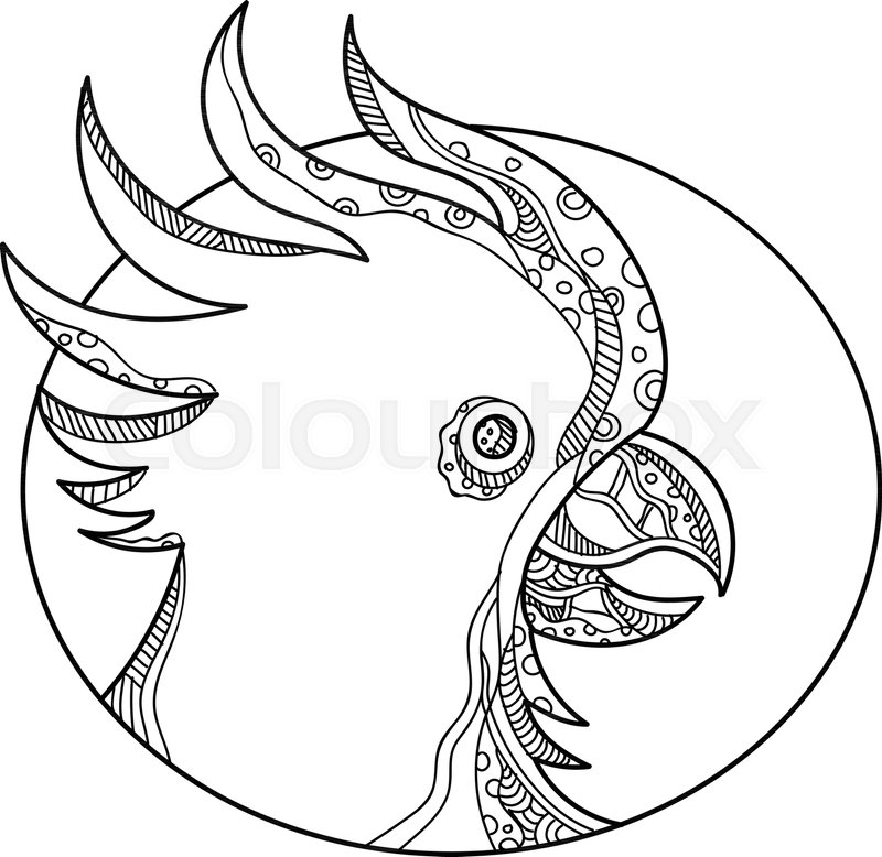 800x778 Doodle Art Illustration Of Head Of Stock Vector Colourbox