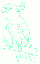 157x250 Exam Guide Online