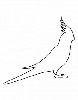 250x323 Footprint Drawing Cockatoo, Picture