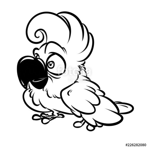 500x500 Funny Parrot Cockatoo Cartoon Illustration Isolated Image Coloring