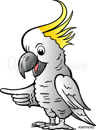 372x500 Hand Drawn Vector Illustration Of An Sulphur Crested Cockatoo