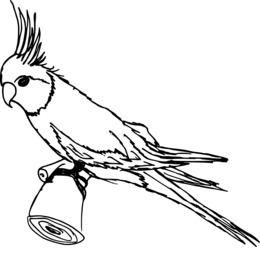 260x260 Illustration, Bird, Graphics, Transparent Png Image Clipart Free