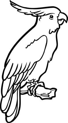 236x426 How To Draw A Cockatoo Step Australia Art Ideas Bird