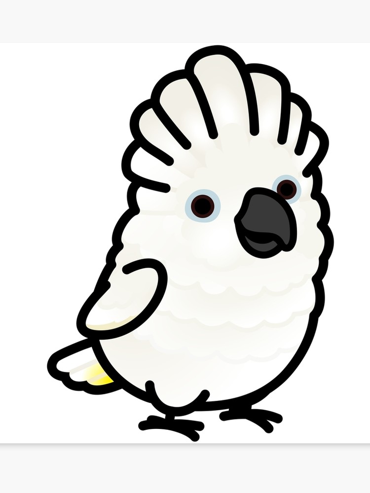 750x1000 Chubby Umbrella Cockatoo Canvas Print