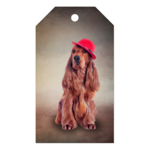 307x307 cocker spaniel drawing gifts on zazzle ca