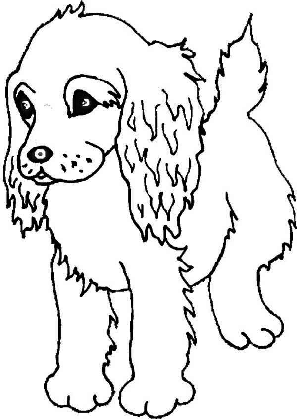 600x846 cocker spaniel puppy coloring pages