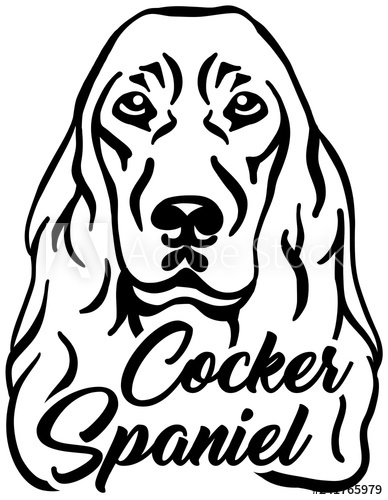 388x500 cocker spaniel head with name