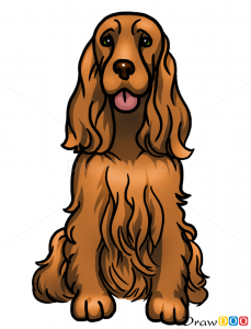229x300 how to draw cocker spaniel, dogs and puppies