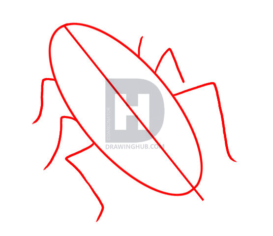 555x480 How To Draw A Cockroach, Step