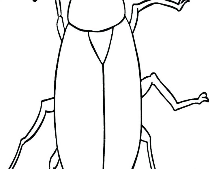 728x589 roach coloring pages and the cockroaches cartoons printable