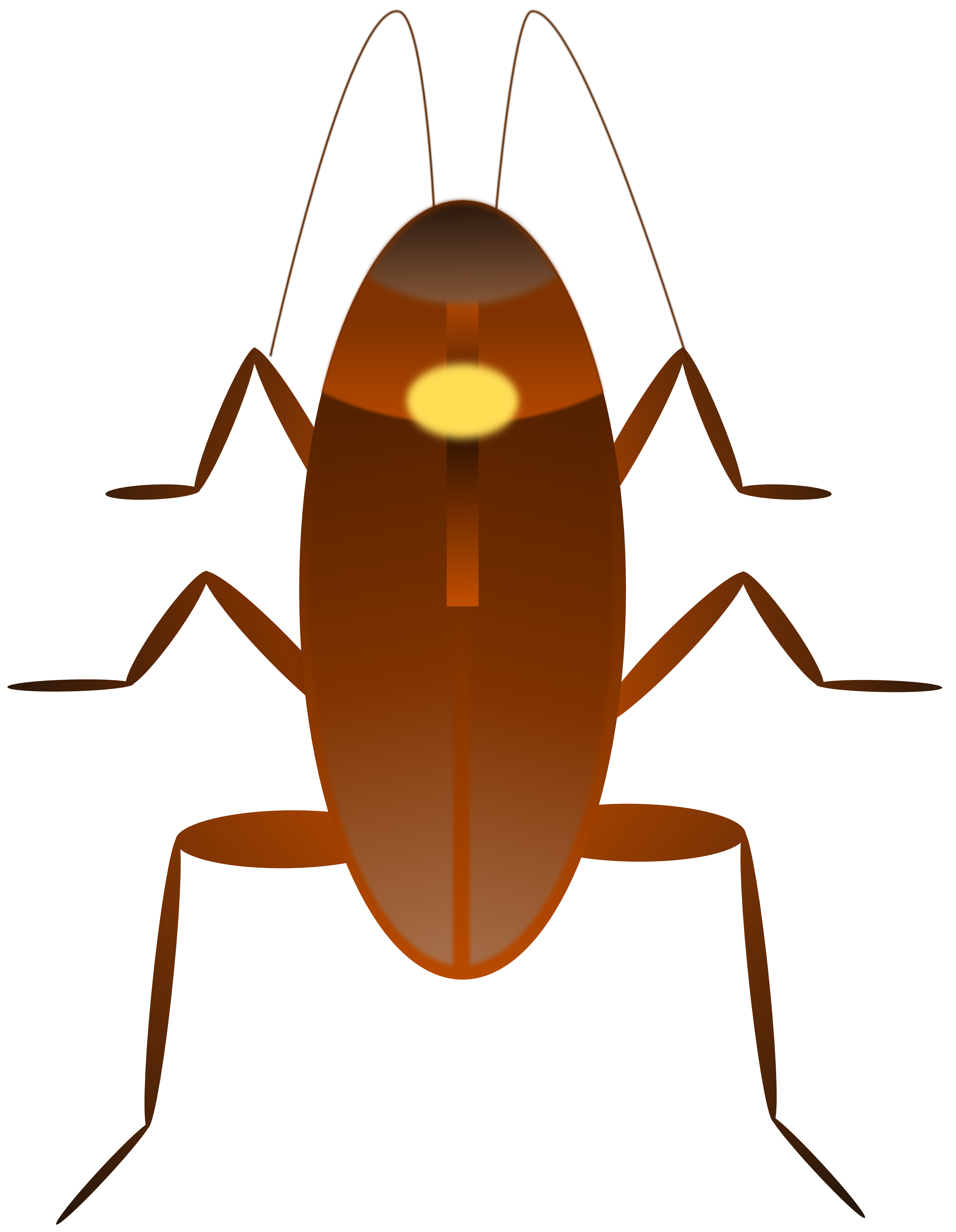 3333x4294 Roach Drawing Crawling Transparent Png Clipart Free Download