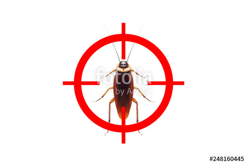 500x334 drawing gun target to kill cockroach pest control concept stock
