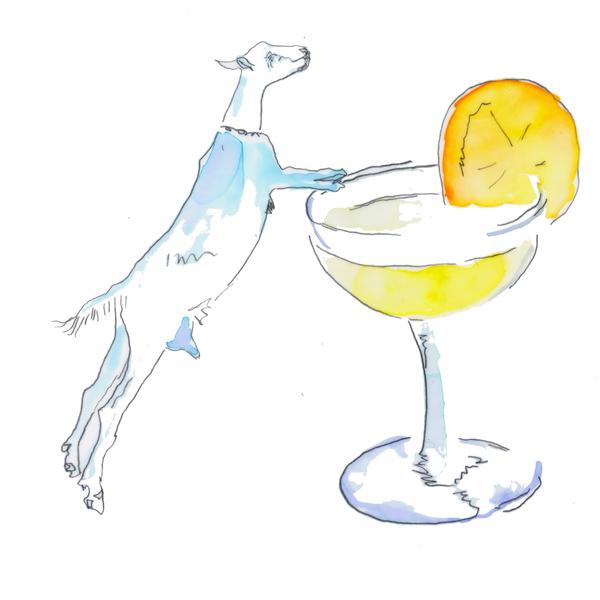 600x600 Cocktails With The Goats!!! Big Picture Farm