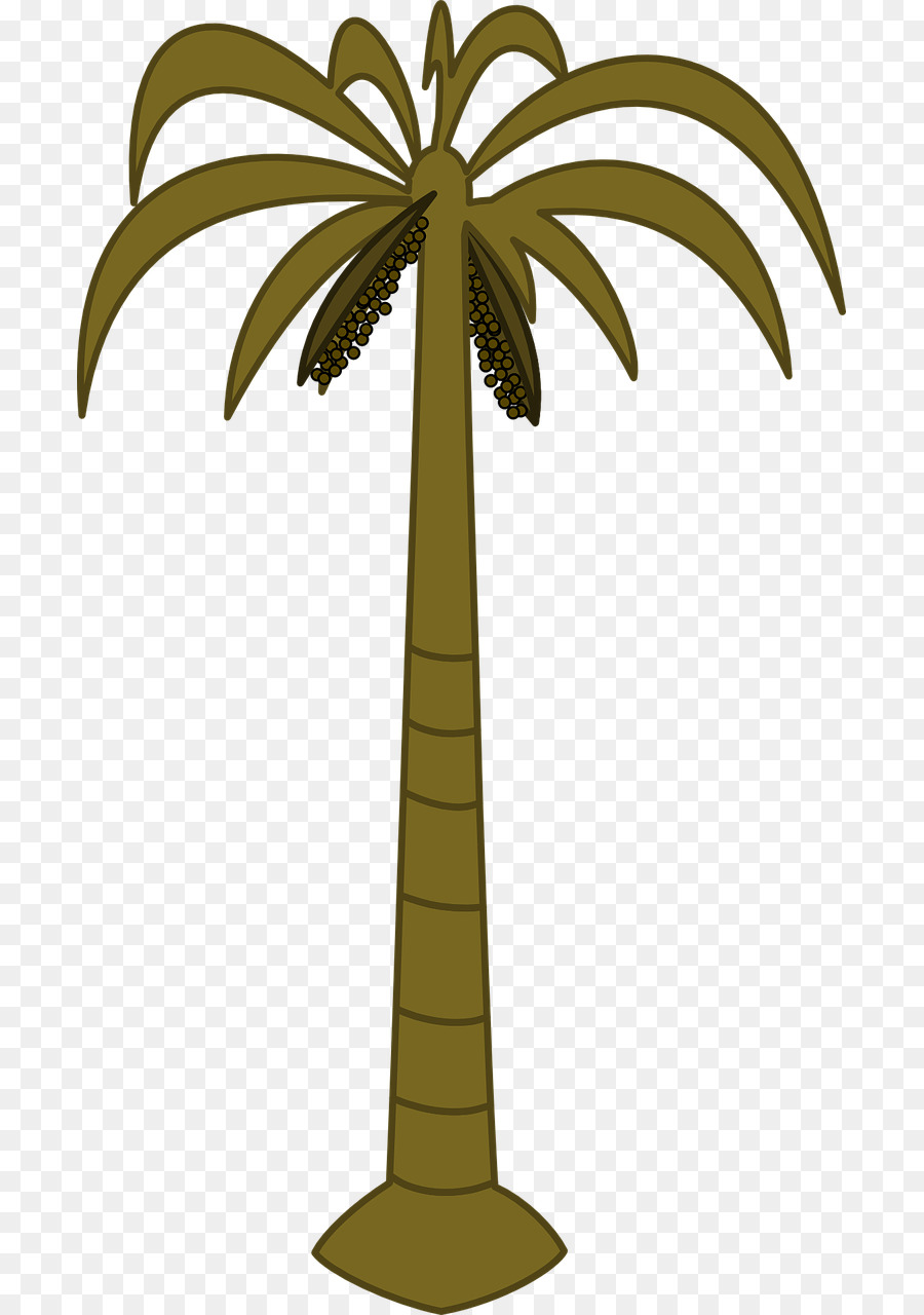 900x1280 Date Palm Clipart Coconut Drawing