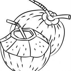 250x250 Drawing Coconut Green Tree Step