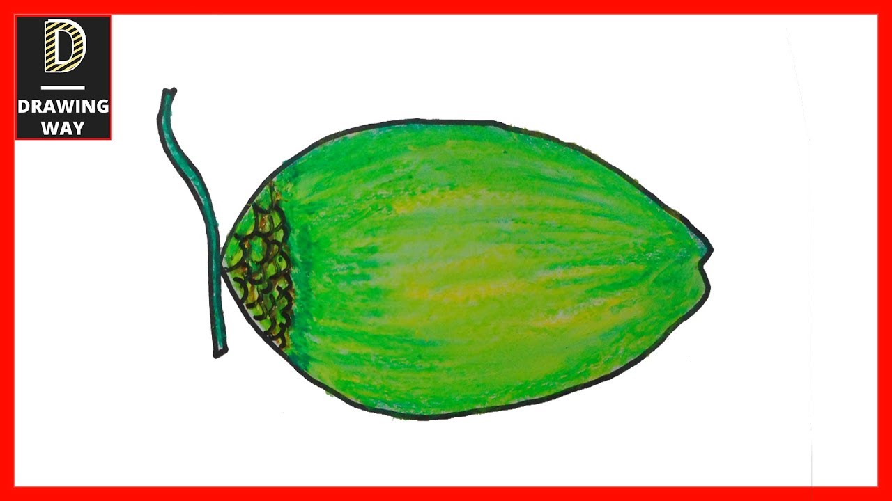 1280x720 How To Draw A Green Coconut Step