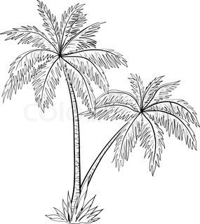 285x320 Huge Collection Of 'coconut Trees Drawing' Download More Than