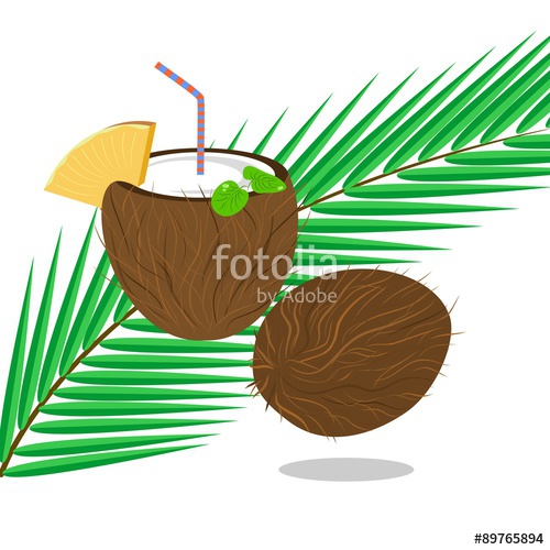 500x500 Illustration With Drawing Of An Open Coconut, Palm Leaf