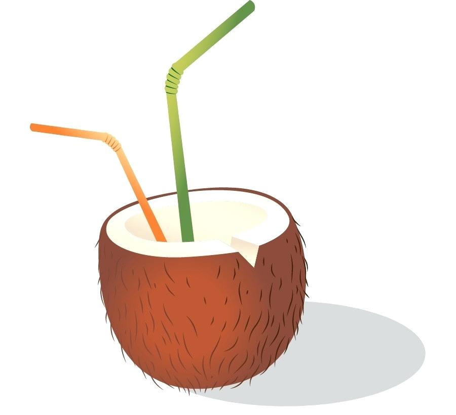900x820 Drawing Coconut