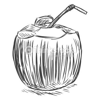 414x414 Coconut Clip Art Black And White Clipart Collection