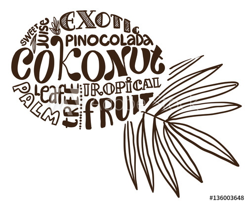 500x412 Coconut Tag Hand Drawing