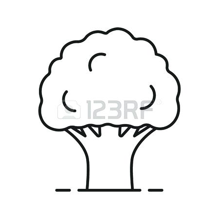 450x450 Collection Of Tree Drawing Outline Download Them And Try To Solve