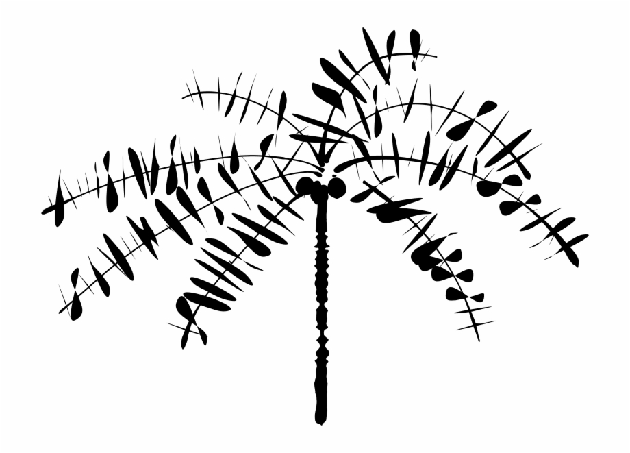 920x661 Abstract Coconut Tree