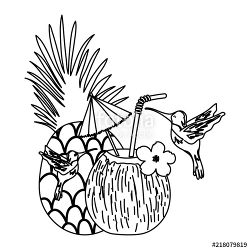 500x500 Line Tropical Birds And Exotic Pineapple And Coconut Stock Image