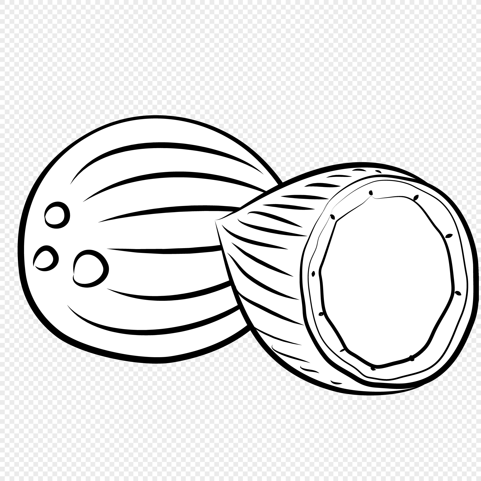 2020x2020 Coconut Line Drawing