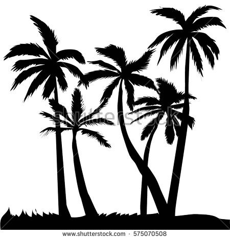 450x470 Drawn Palm Tree Coconut Tree