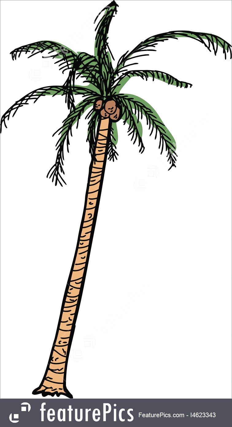756x1392 Isolated Cartoon Coconut Palm Stock Illustration