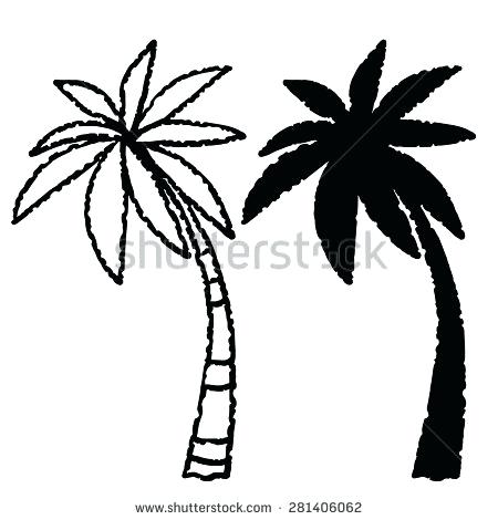 450x470 Palm Trees Drawings Coconut Palm Trees Line Black Silhouette Hand