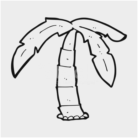 440x440 Coconut Tree Coloring